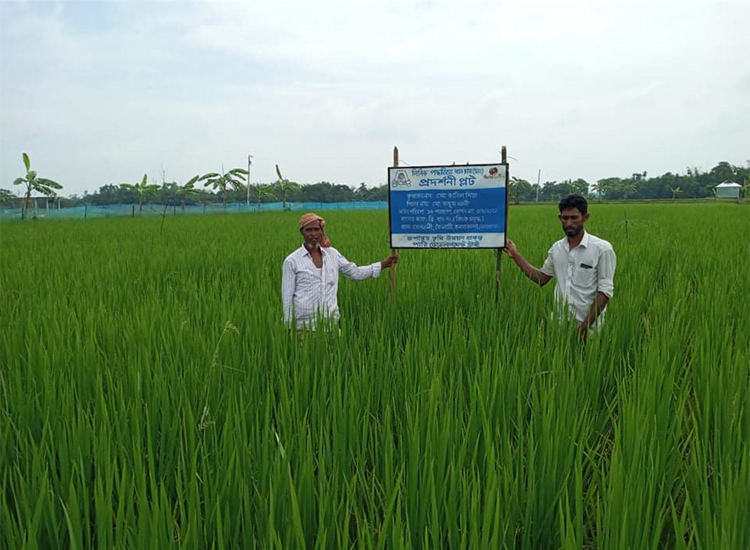 PARI - We are an organization where the poor and their communities are ...